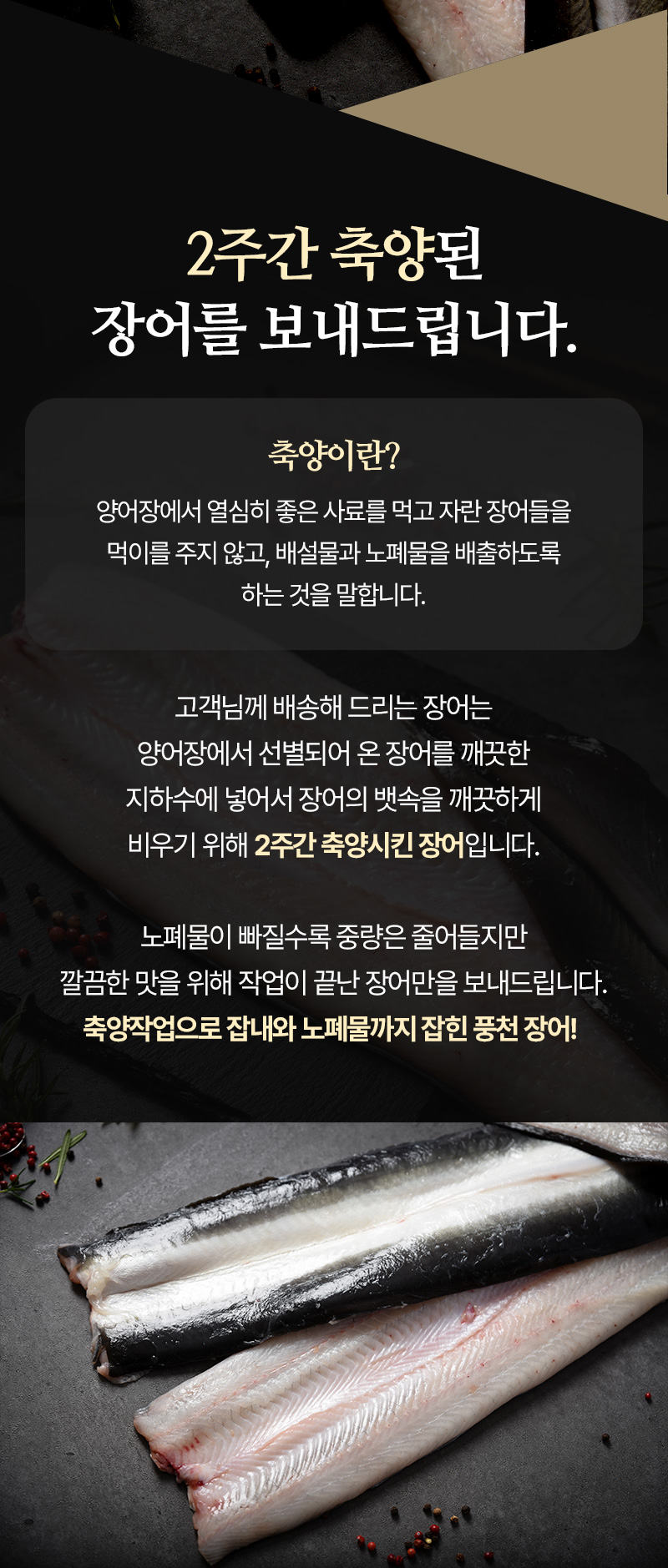 하프클럽 [자연맛남][자연맛남] 국내산 고창 풍천 민물장어 1kg (1-3미/손질후 650g내외)