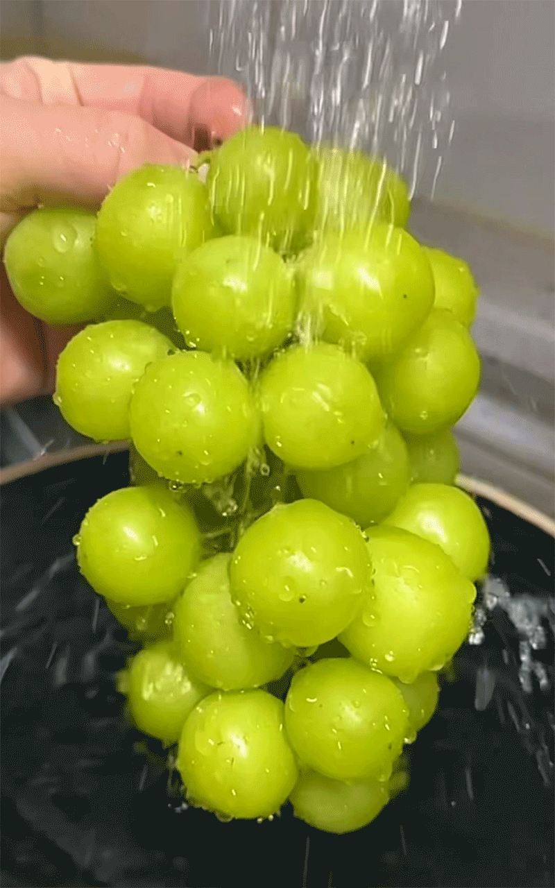 [자연맛남] 명품 샤인머스켓 선물세트 2kg (2-3수/에어포장) - NS홈쇼핑
